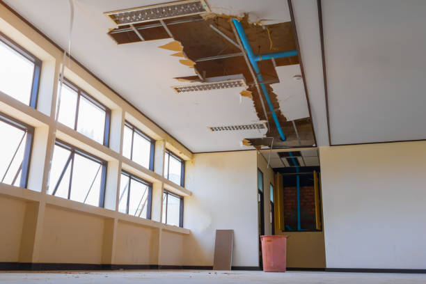 Best Mold removal after water damage  in Valley Forge, TN