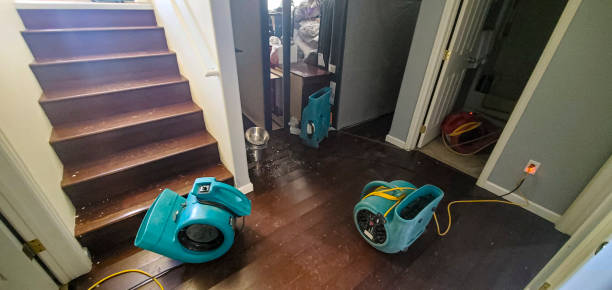  Valley Forge, TN Water damage restoration Pros