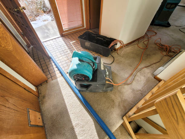 Best Water damage contractors near me  in Valley Forge, TN