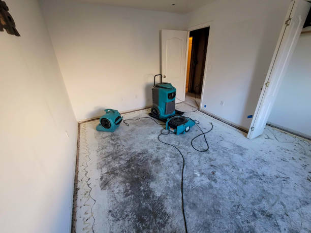 Best Local water damage restoration  in Valley Forge, TN