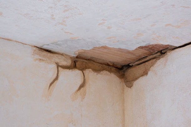 Best 24/7 water damage repair  in Valley Forge, TN