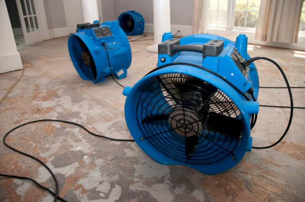 Best Flood damage cleanup  in Valley Forge, TN