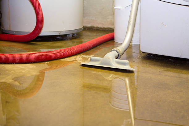 Best Ceiling water damage repair  in Valley Forge, TN