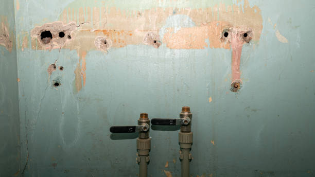 Best Local water damage restoration  in Valley Forge, TN