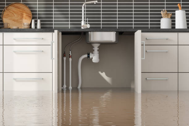 Best Carpet water damage restoration  in Valley Forge, TN