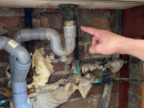 Local water damage restoration in TN