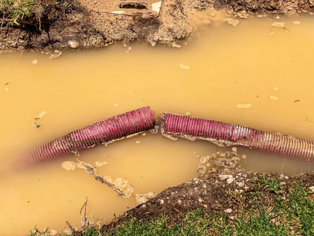  Valley Forge, TN Water damage restoration Pros