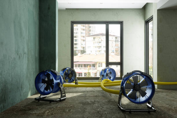 Reliable TN Water damage restoration Solutions