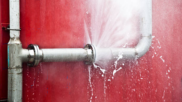 Best Professional water damage repair  in Valley Forge, TN