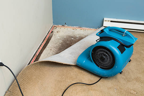 Best 24-hour water damage restoration  in Valley Forge, TN